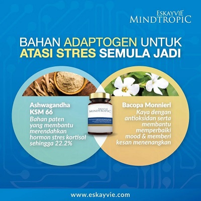 image_81162ff3-3bd5-43c5-870c-77b5b40a8309